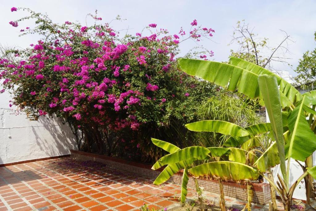 Hotel Mar Di Plata Barranquilla  Buitenkant foto